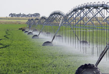 Irrigation